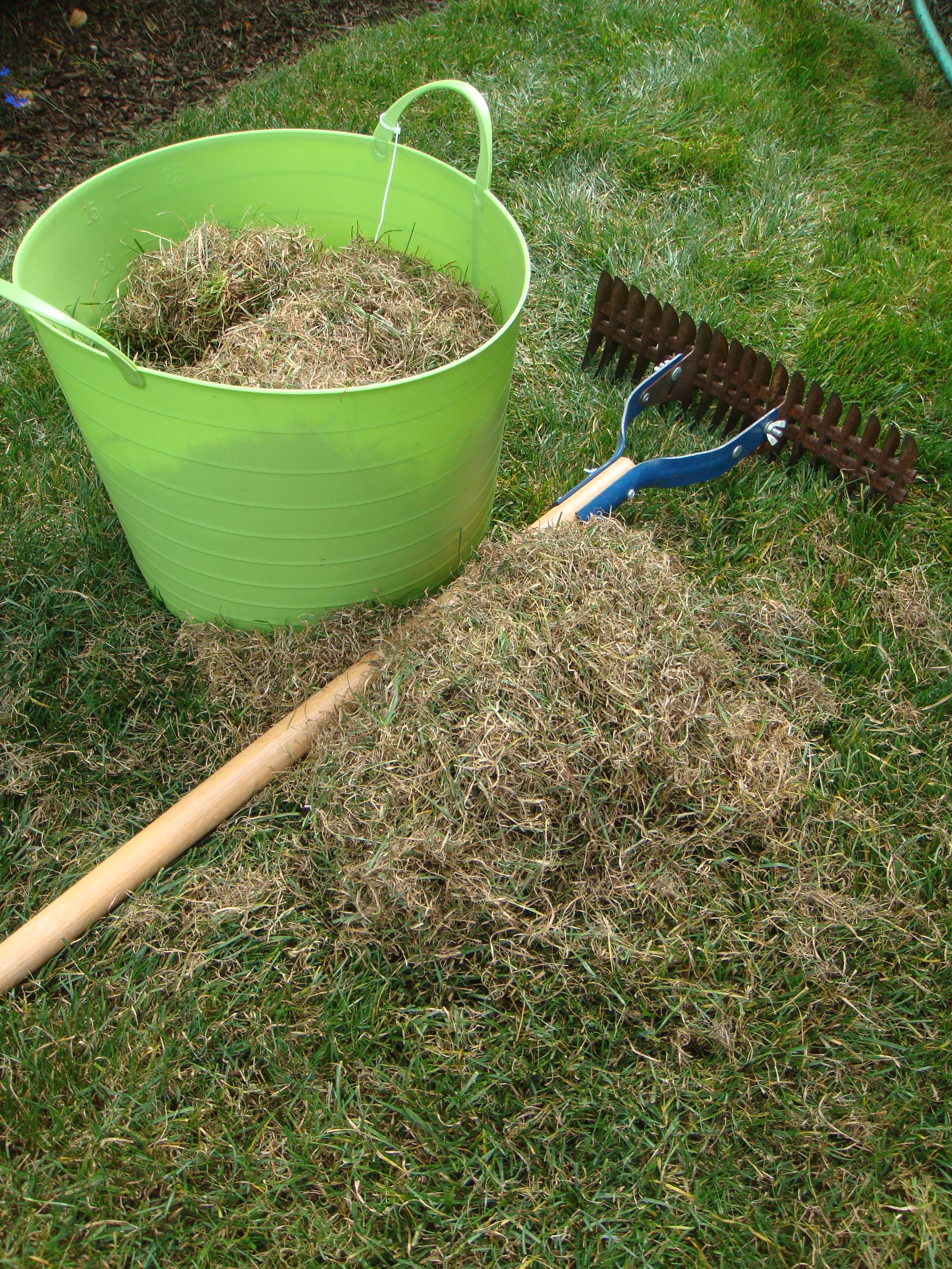 Как организовать автоматический полив газона и огорода своими руками