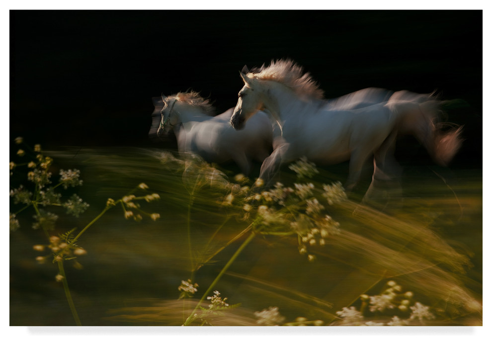 Milan Malovrh The Duel Canvas Art Contemporary Prints And Posters By Trademark Global