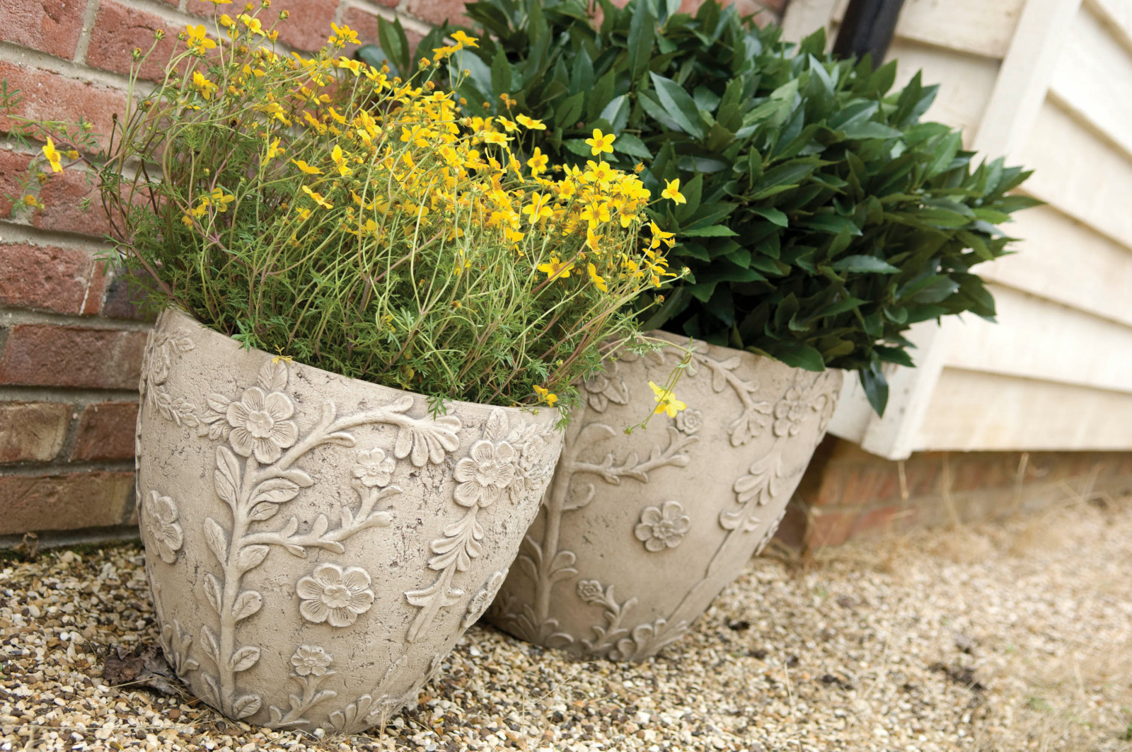 Сад в стиле прованс