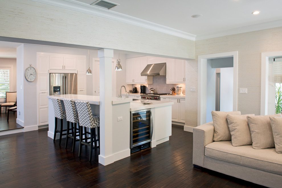 Kitchen - transitional kitchen idea in Miami