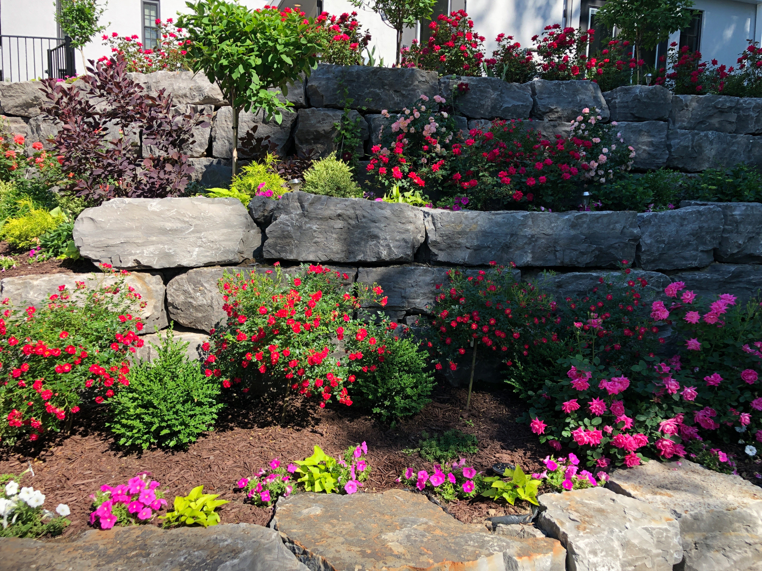 Outdoor Projects