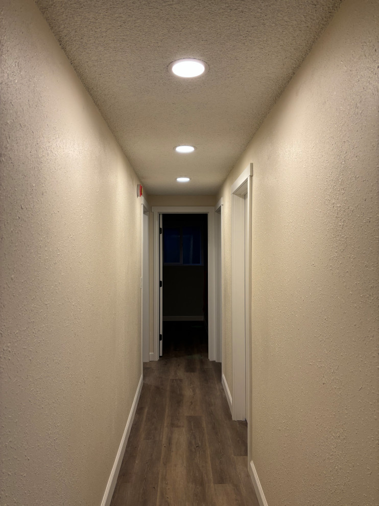 Basement Remodel