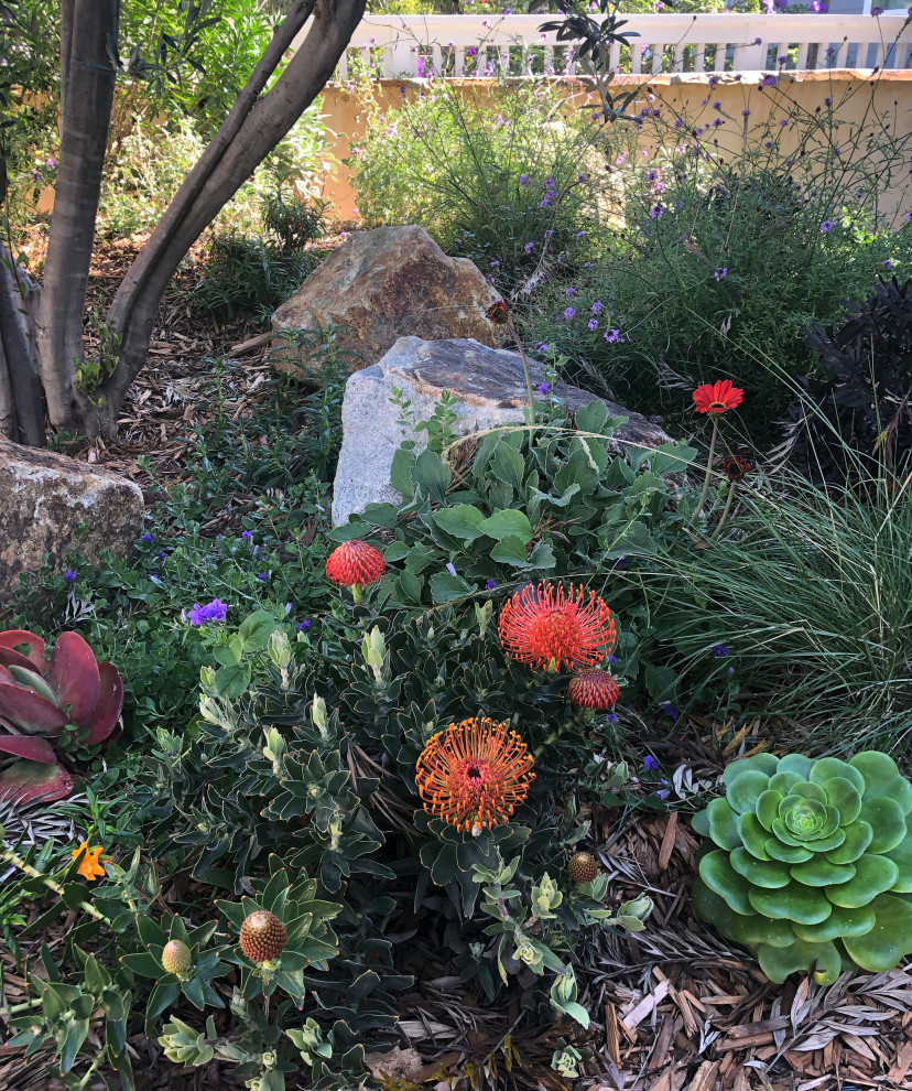 Kleiner, Halbschattiger Stilmix Vorgarten im Frühling mit Blumenbeet, Natursteinplatten und Steinzaun in Los Angeles