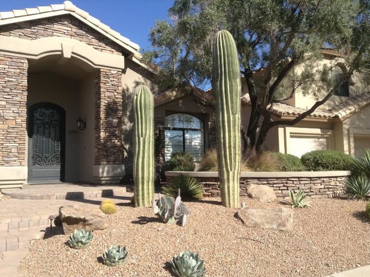 Design ideas for a small modern front yard full sun xeriscape for winter in Phoenix with a retaining wall.