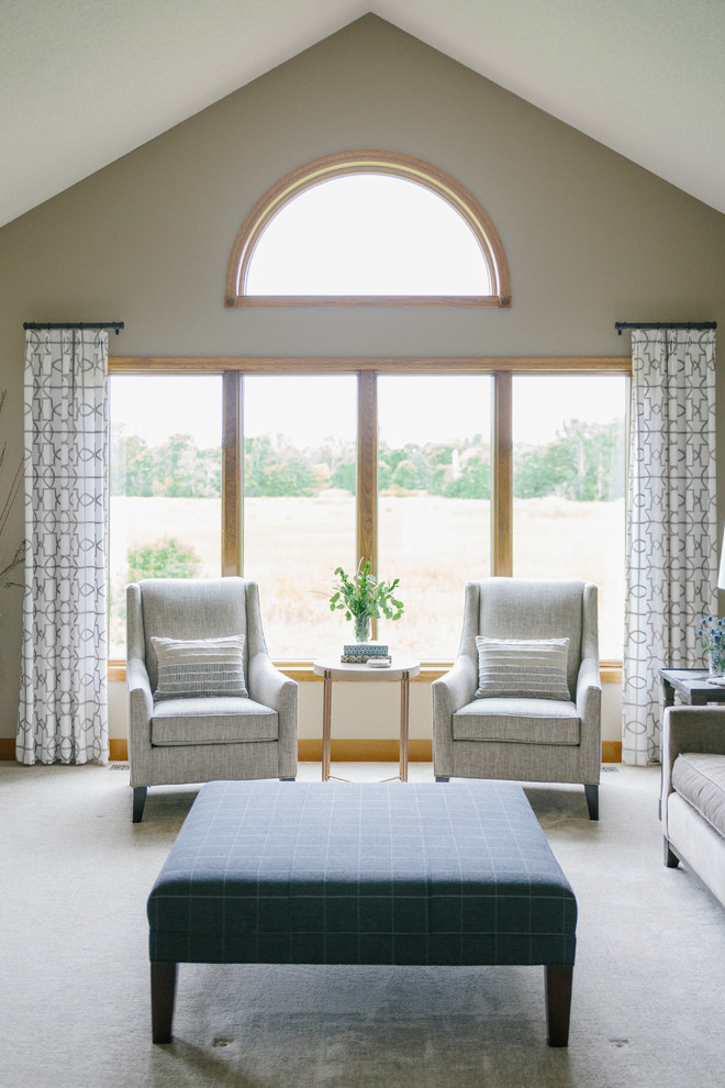 Transitional living room photo in Minneapolis