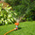 Carroll Landscaping and Irrigation
