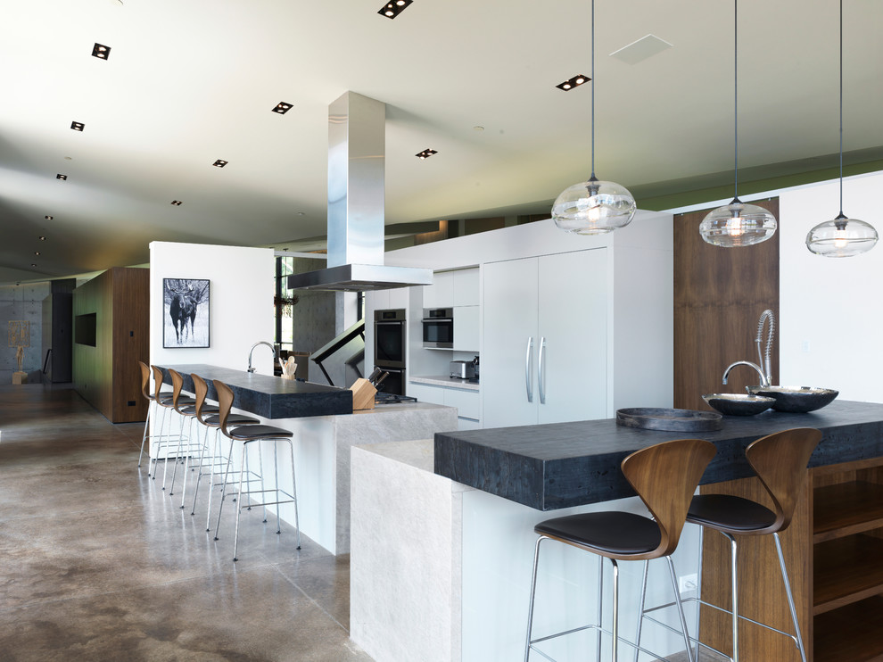 Inspiration for a large contemporary eat-in kitchen in Other with flat-panel cabinets, white cabinets, concrete floors, concrete benchtops, white splashback, panelled appliances, brown floor and black benchtop.