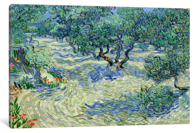 "Olive Orchard" Wrapped Canvas Art Print, 18x12x1.5