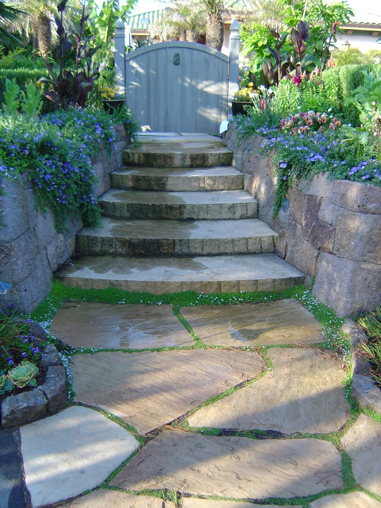 This is an example of a mediterranean garden in San Francisco.