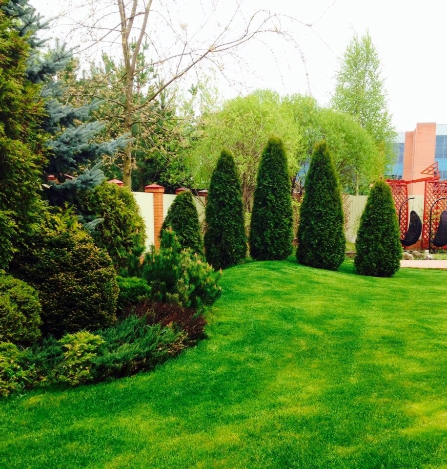 Фото выполненных работ