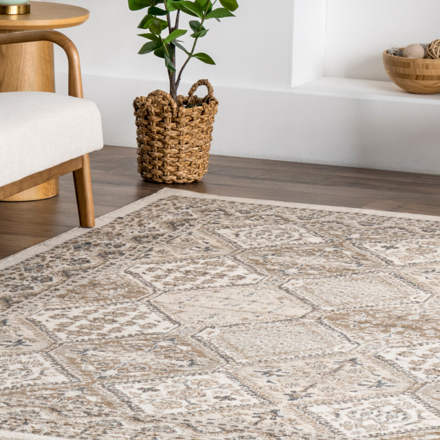 nuLOOM Becca Transitional Vintage Area Rug, 6'round - Southwestern ...