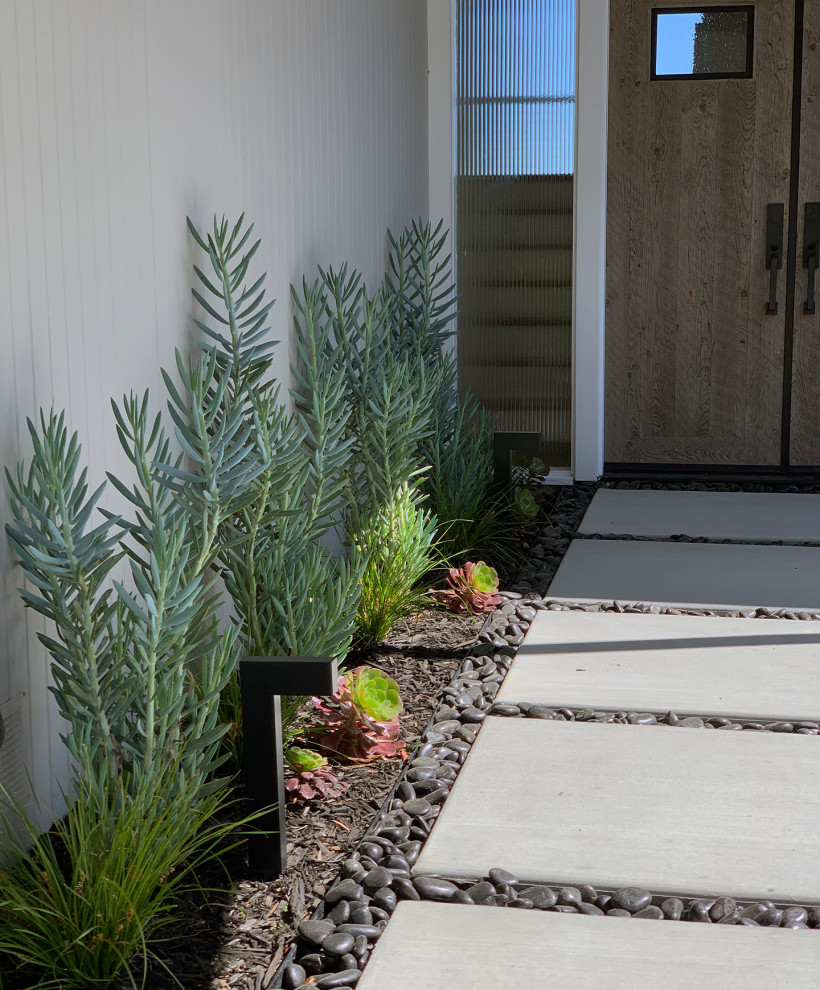 Large midcentury front yard partial sun xeriscape in San Francisco with a garden path and gravel for summer.