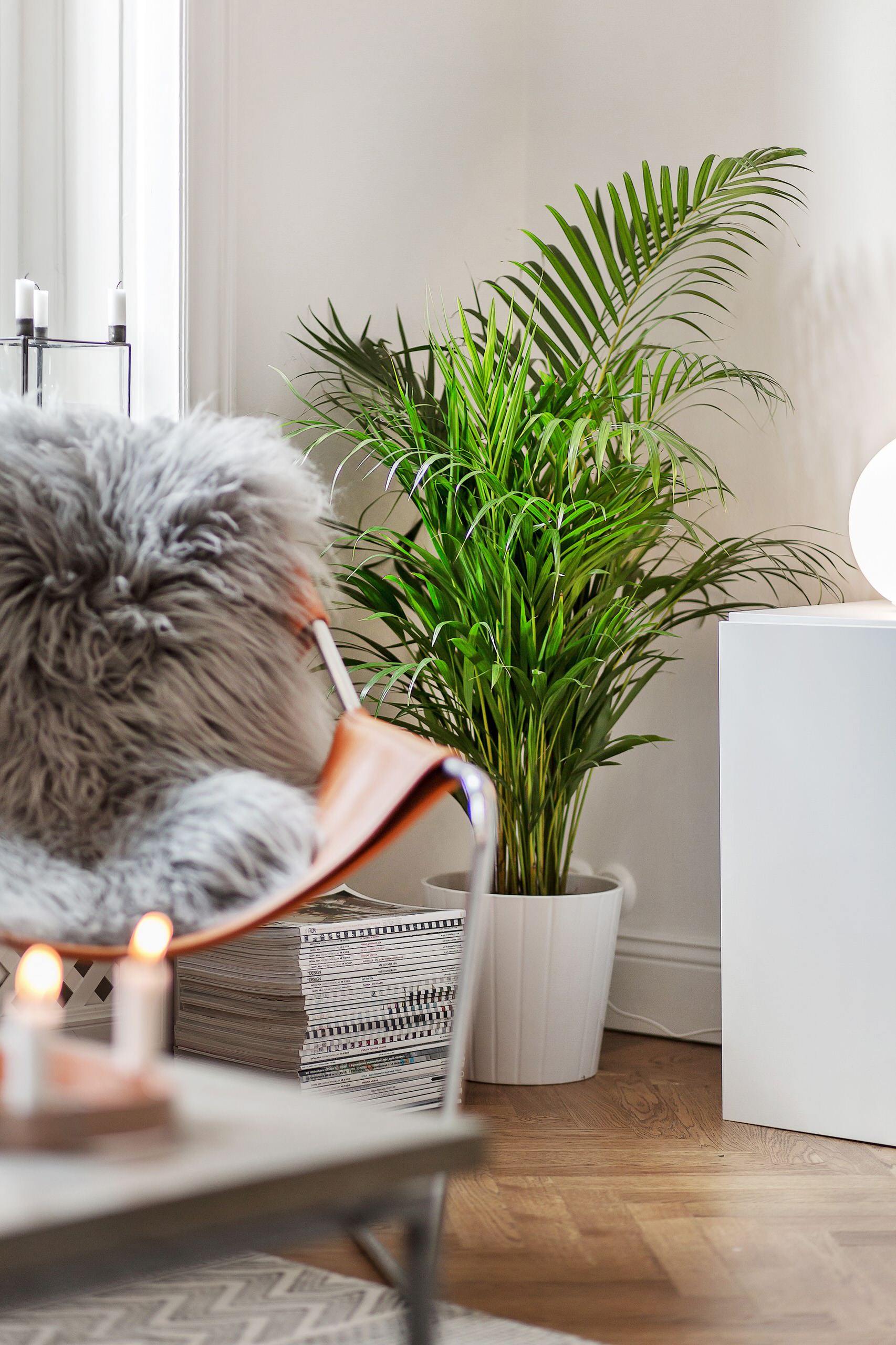 Comment arroser les plantes pendant les vacances ?