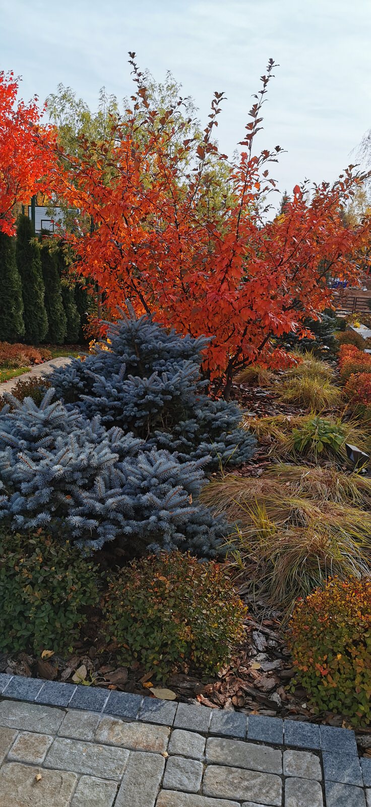 Благоустройство участка 20 соток в КП Пестово