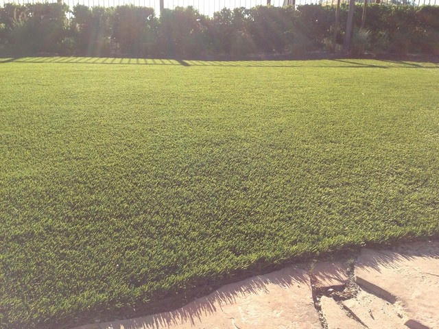 Synthetic Grass Conversion transitional
