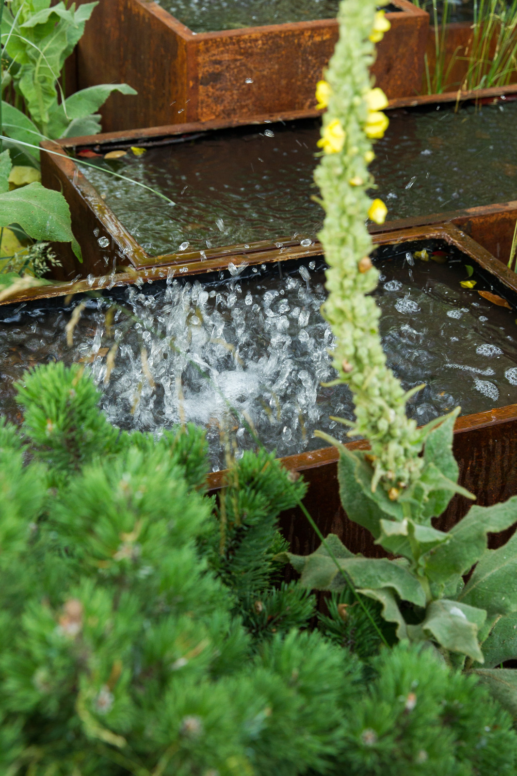 Сад   James Alexander-Sinclair  на Moscow Flower Show 2018  (вне  конкрса)