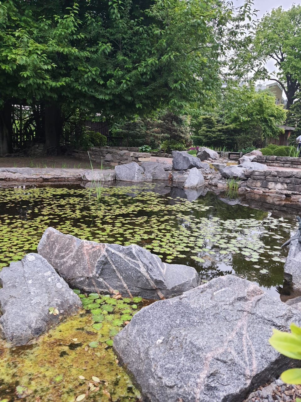 Декоративный фонтан в японском стиле в Ботаническом саду Петербурга