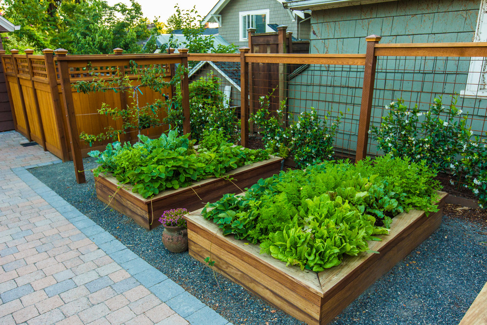 Photo of a mid-sized modern side yard full sun garden in Portland with a vegetable garden and gravel.