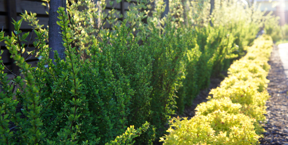 участок в Прохорово