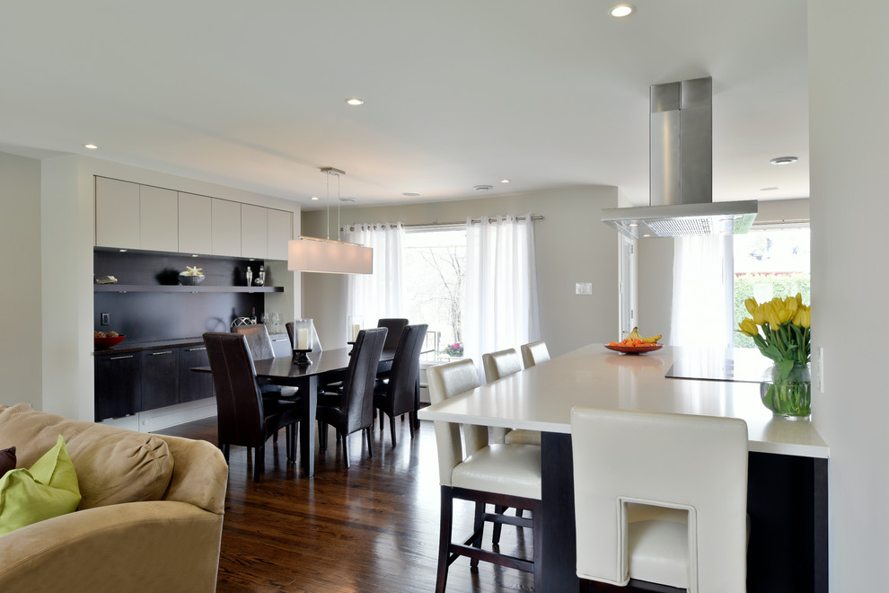 Minimalist kitchen photo in Ottawa