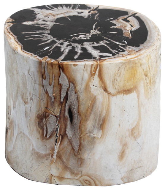 Petrified Wood Stool Rustic Accent And Garden Stools By