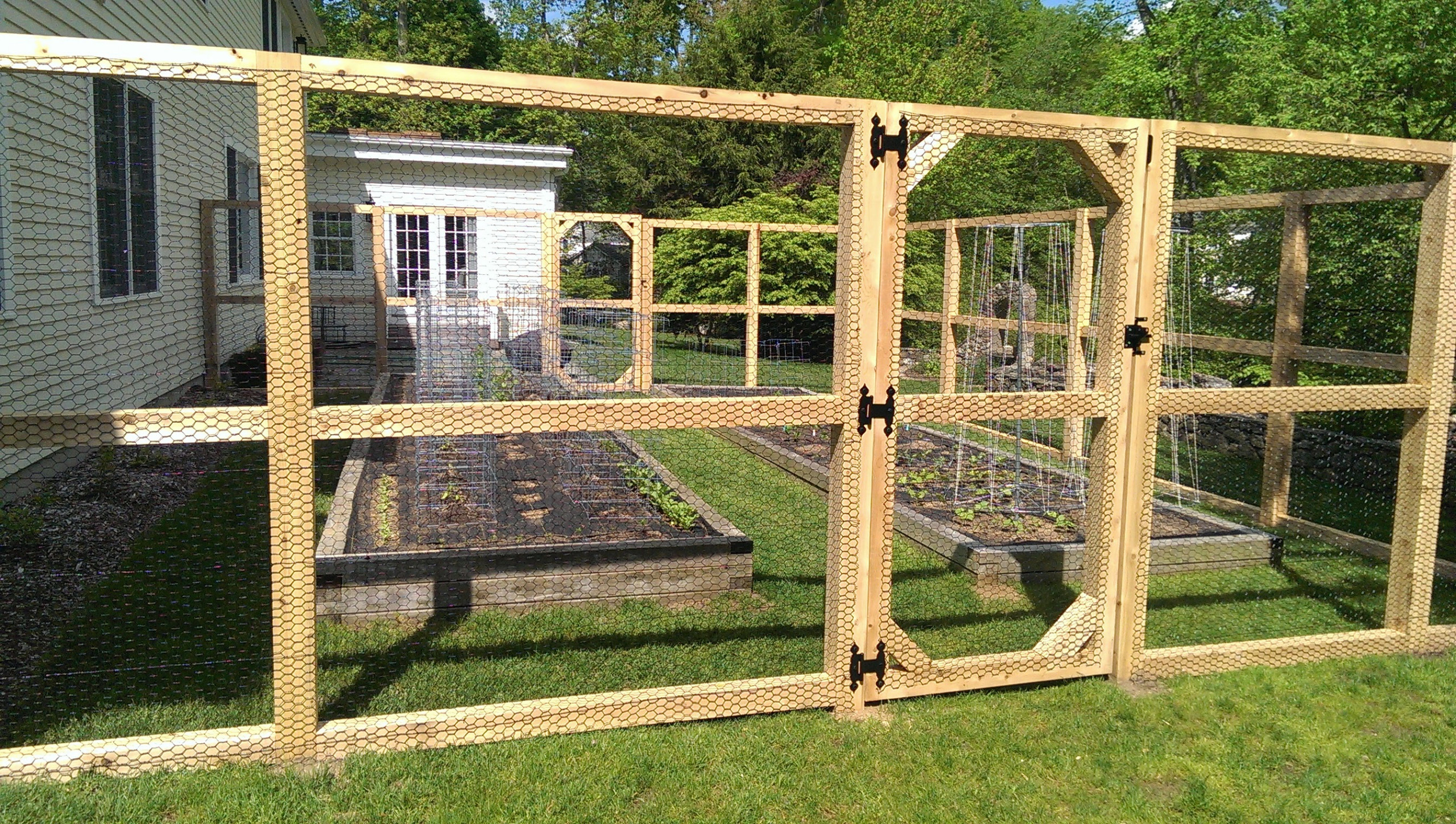 Chicken Wire Fence - Photos \u0026 Ideas | Houzz, image size:2560x1448