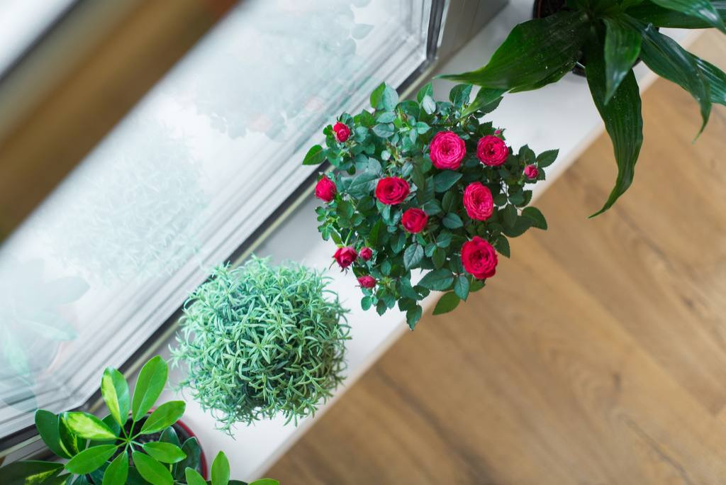 Студия в стиле Andrew Martin