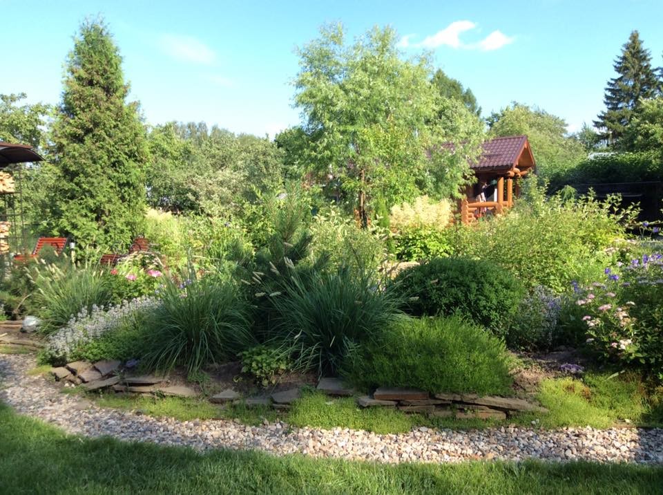 САДИК НА ЛАДОШКЕ (АЛЕНЬКИЙ ЦВЕТОЧЕК)