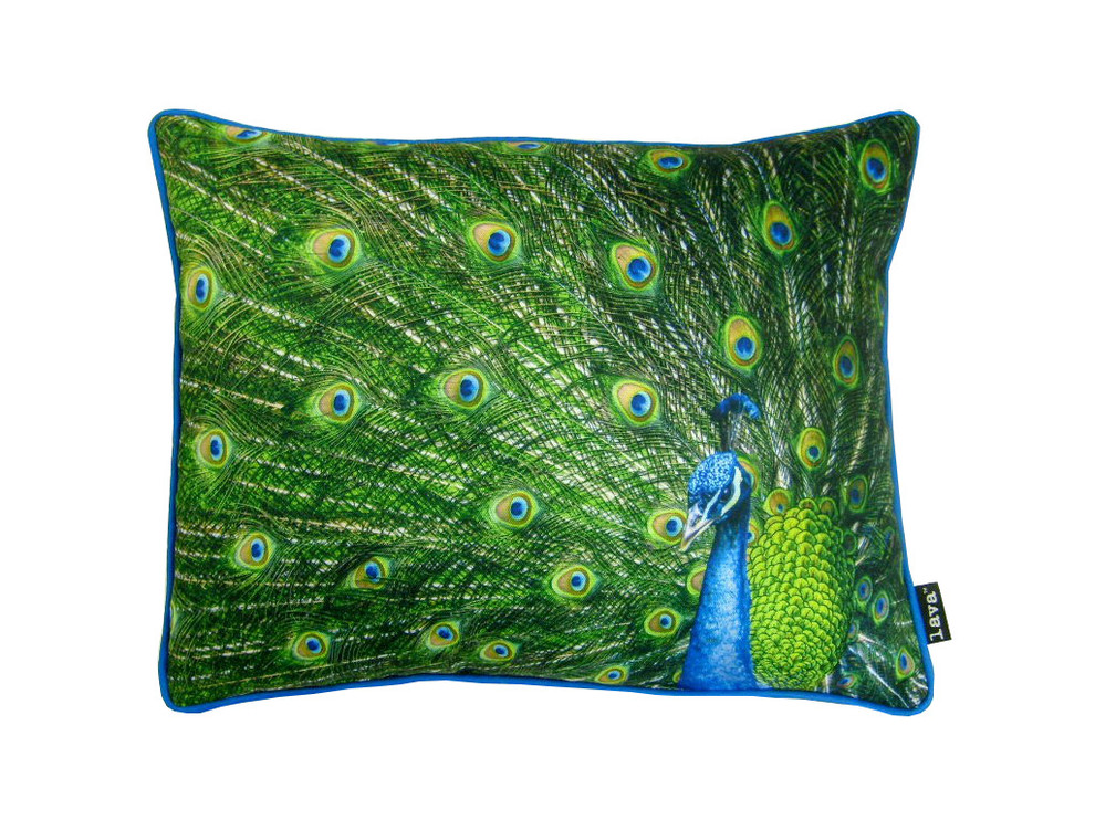 Peacock Feathers 20x16 Pillow Indoor Outdoor