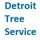 Detroit Tree Service