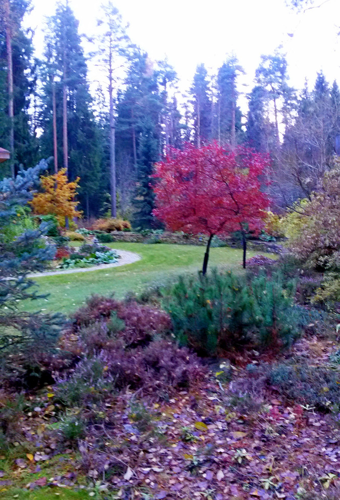 Романтический сад в пейзажном стиле