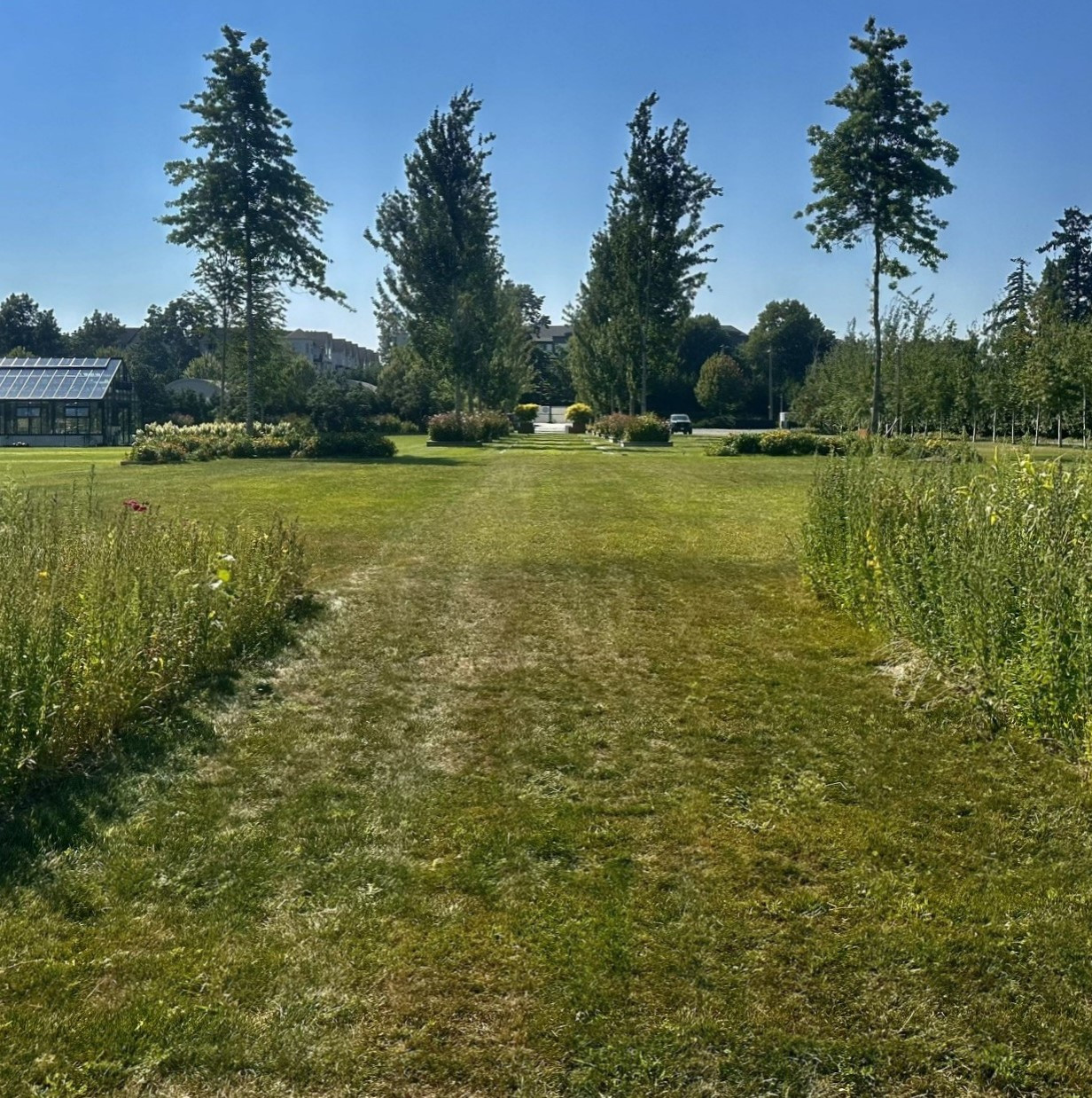 Athiana Acres:  A Family Legacy (An organic Regenerative Farm)