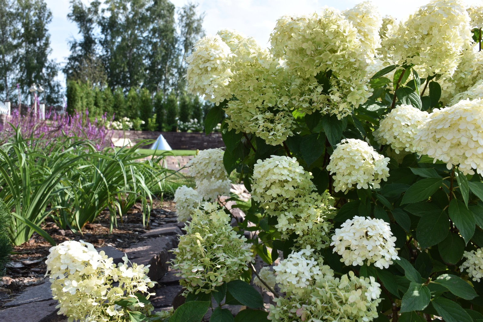 Реконструкция сада, КП  "Терраски"