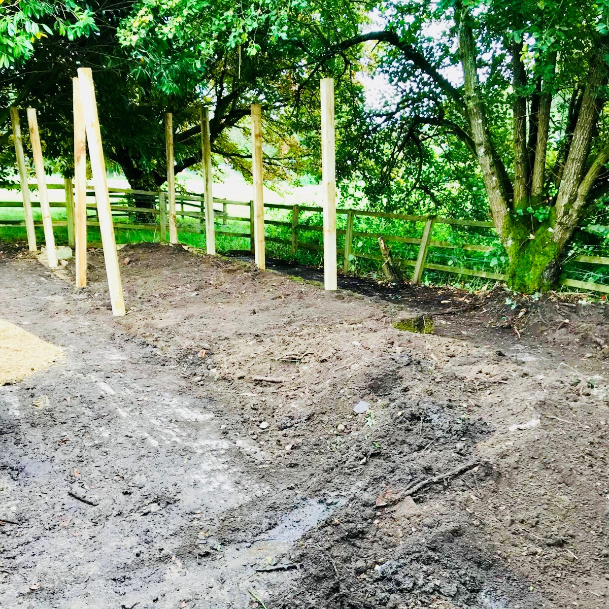Compost Bins