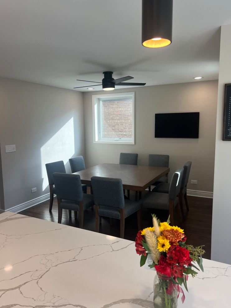 Chicago Kitchen/Dining Renovation