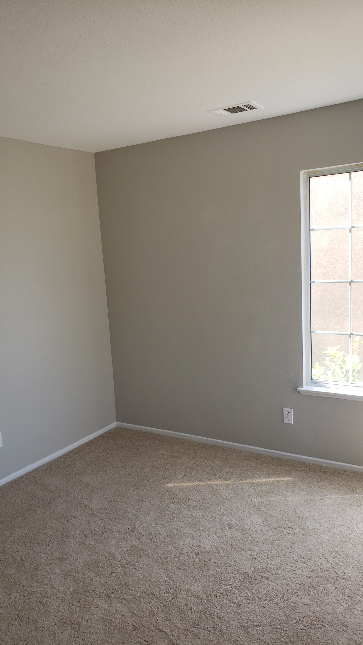 Corona Complete Remodel