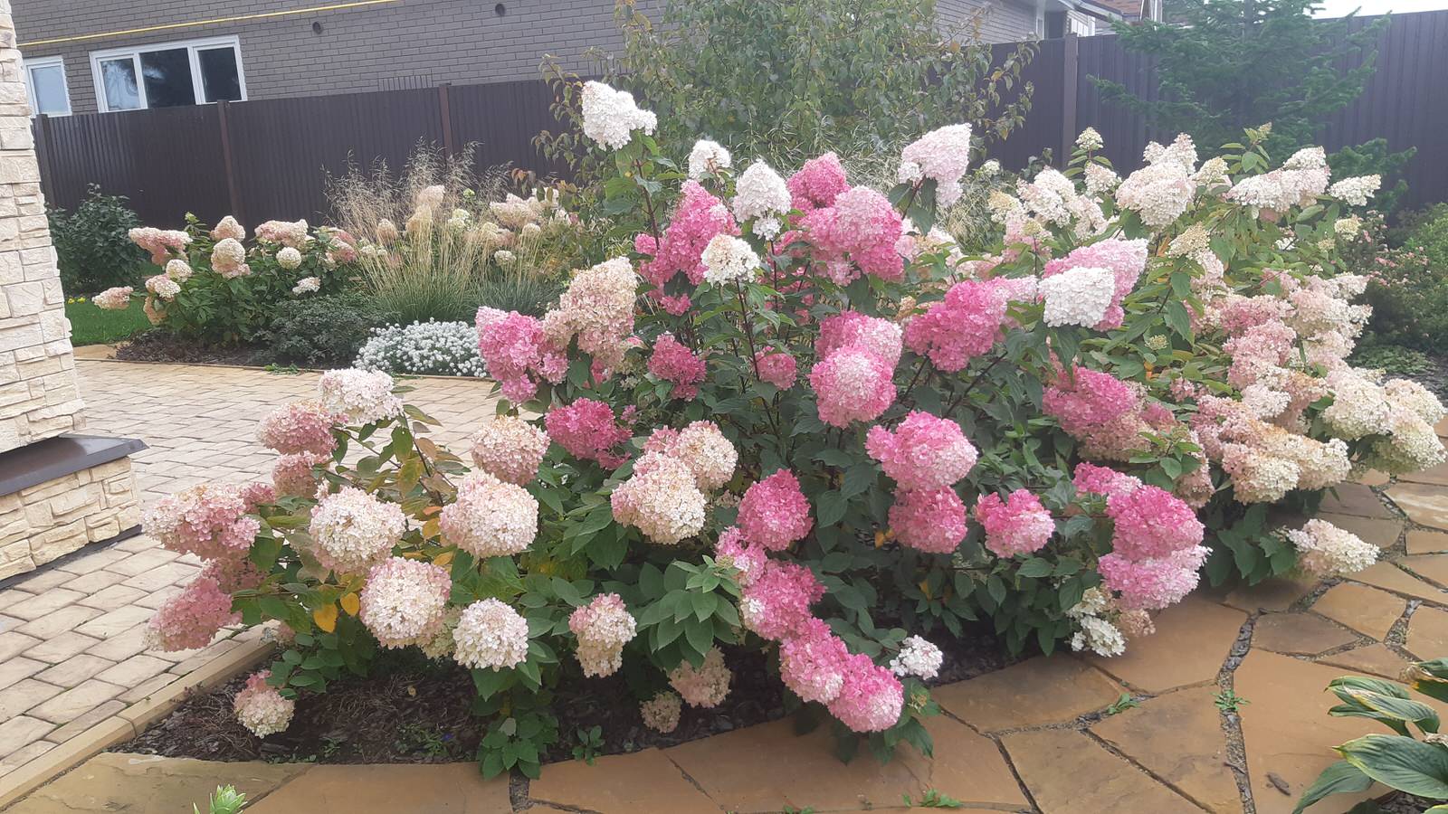 Серебрянный бор