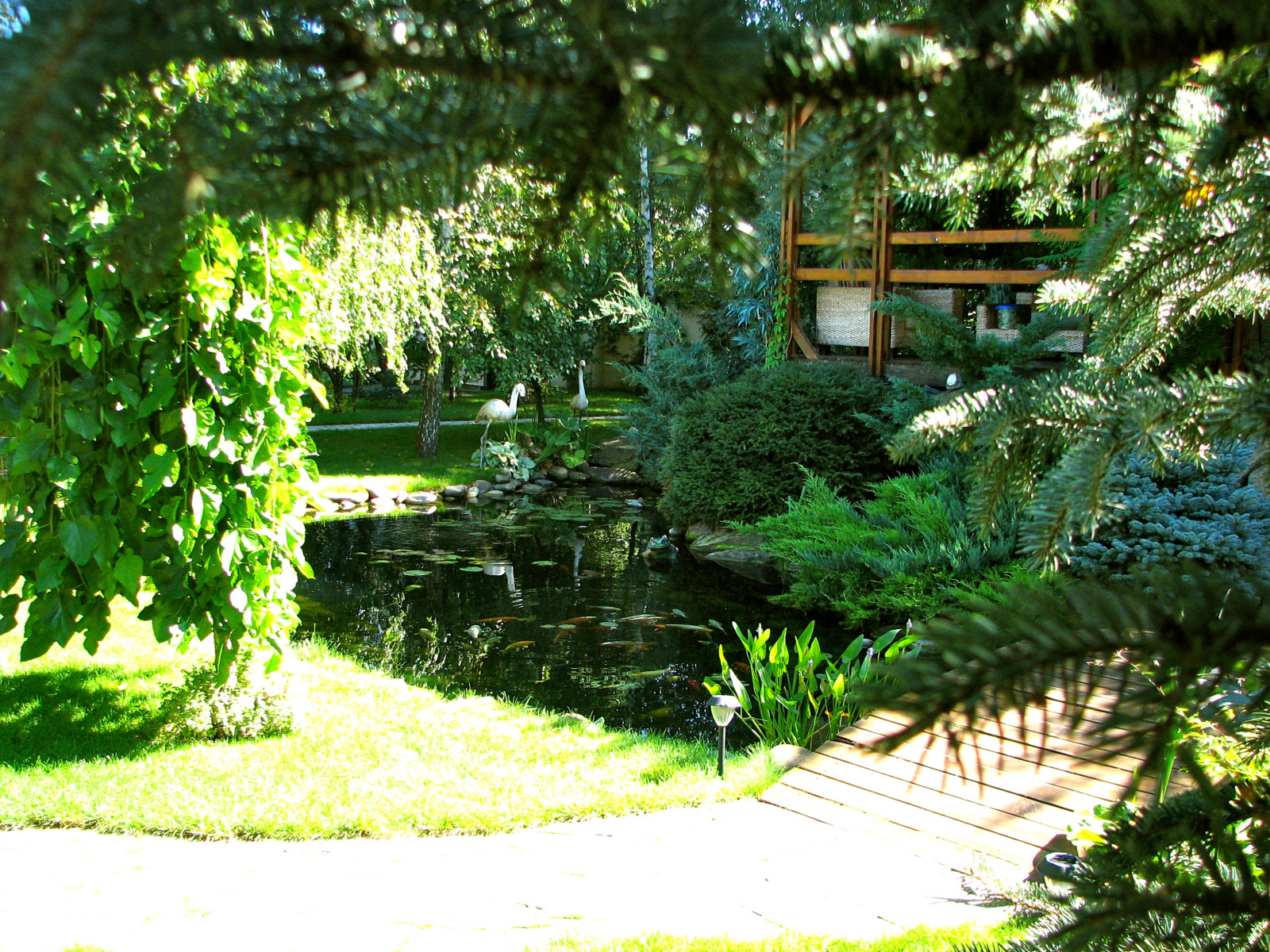 Японский сад