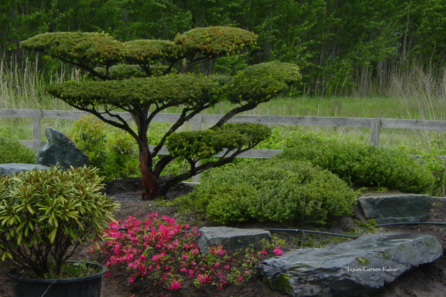 bonsai erde weiß Bonsaierde 5 L main image 0