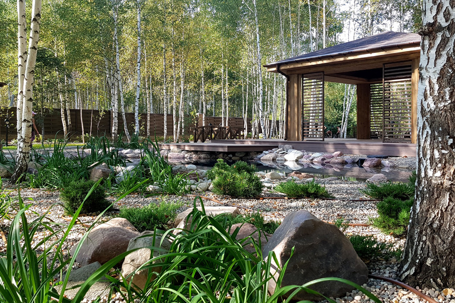 Пруд и берёзы