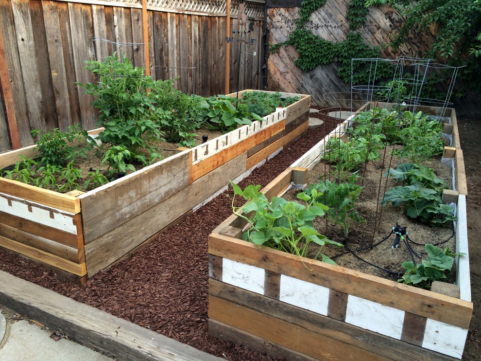Design ideas for a country garden in San Francisco with a container garden.
