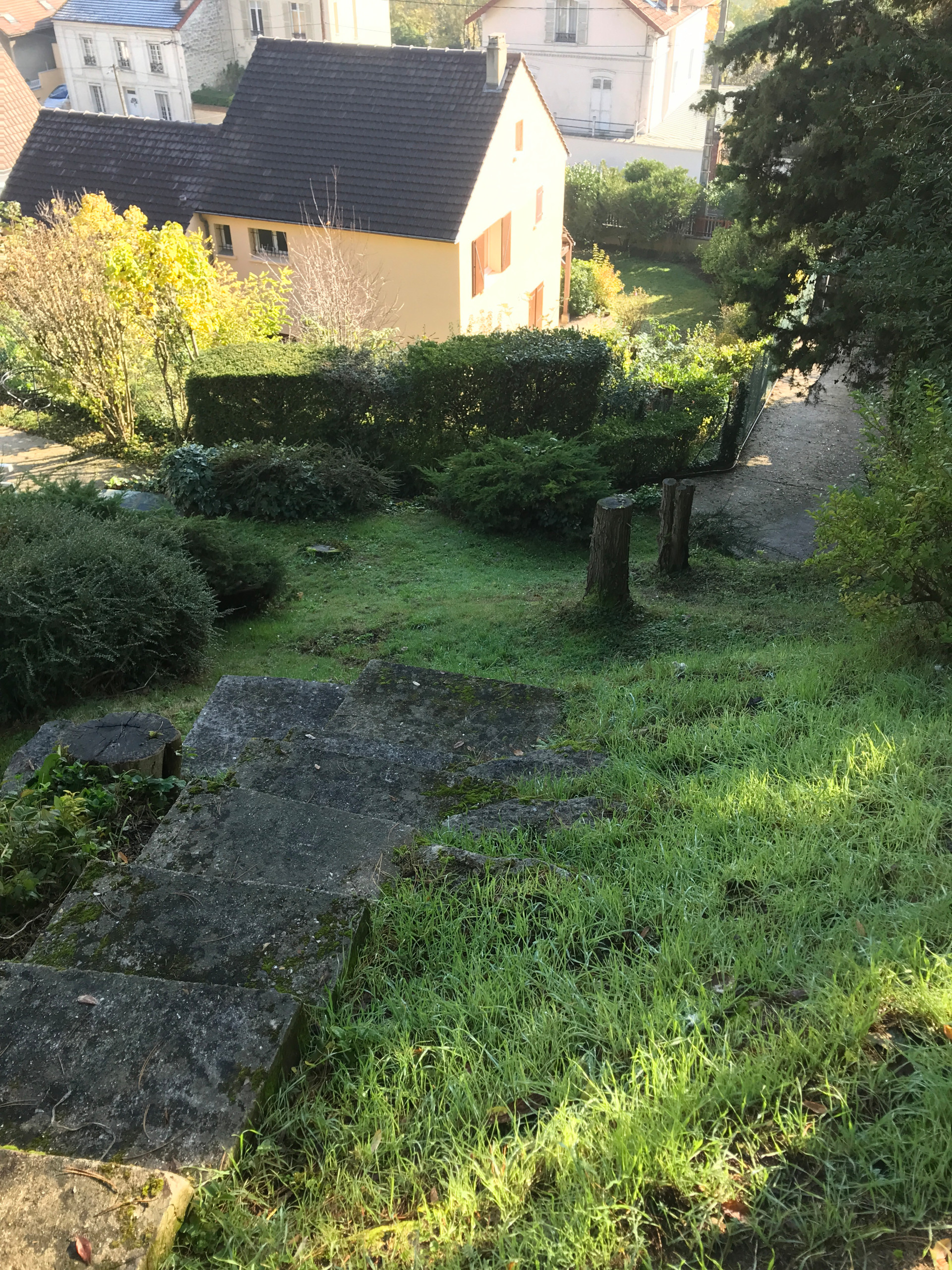 Jardin sur les falaises rocheuses
