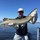 dennis_fiedler
