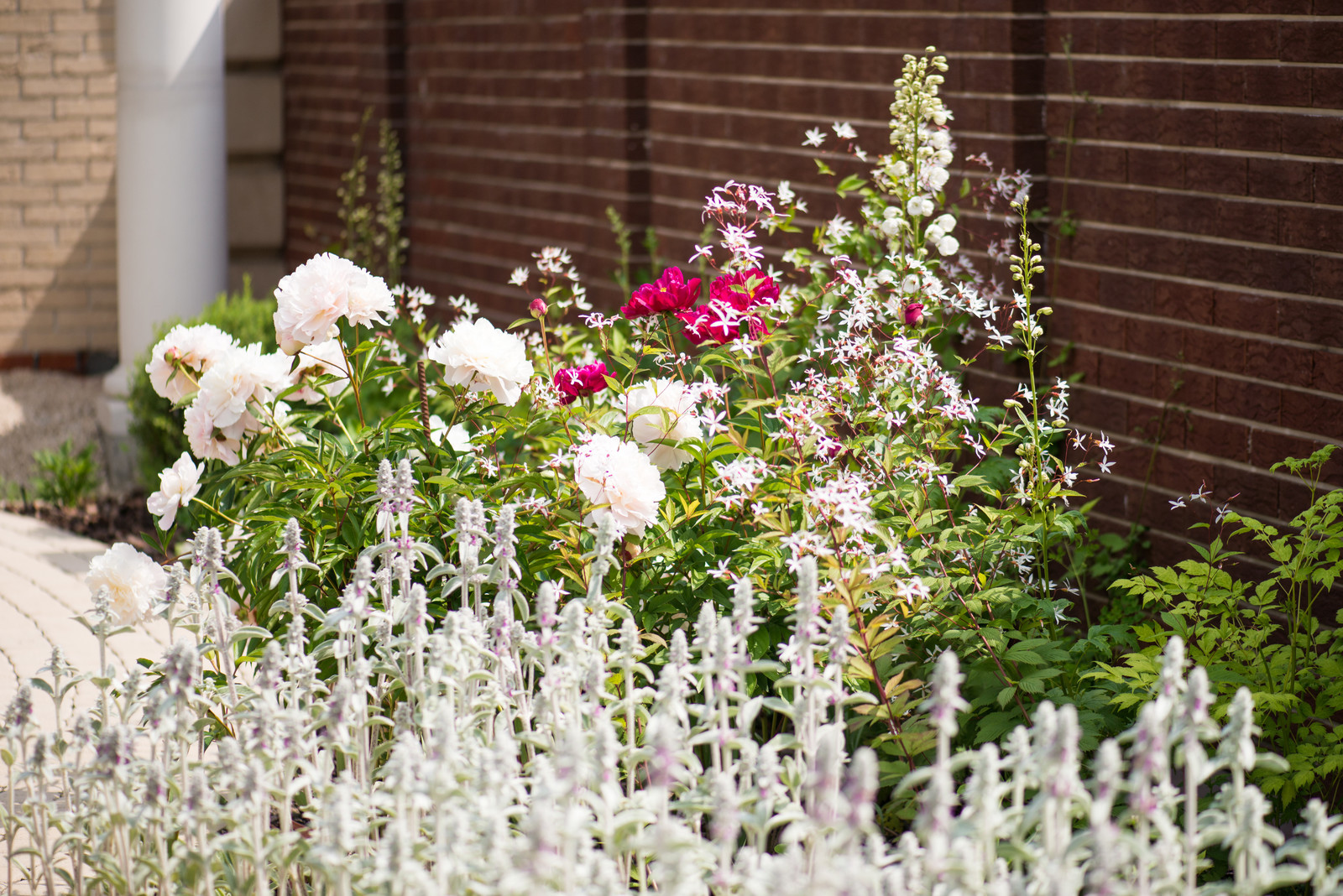 Сад "Витражи". Серебряная медаль конкурса "Ландшафтная осень-2016"