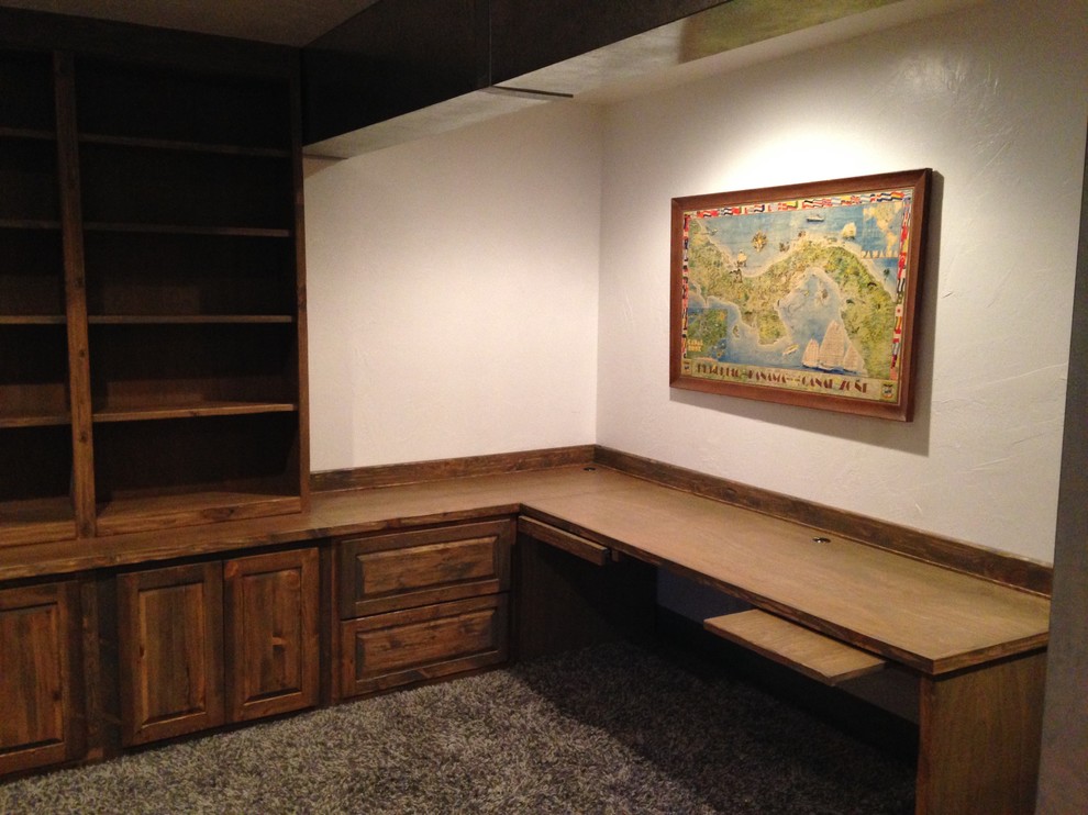 Basement Library and office