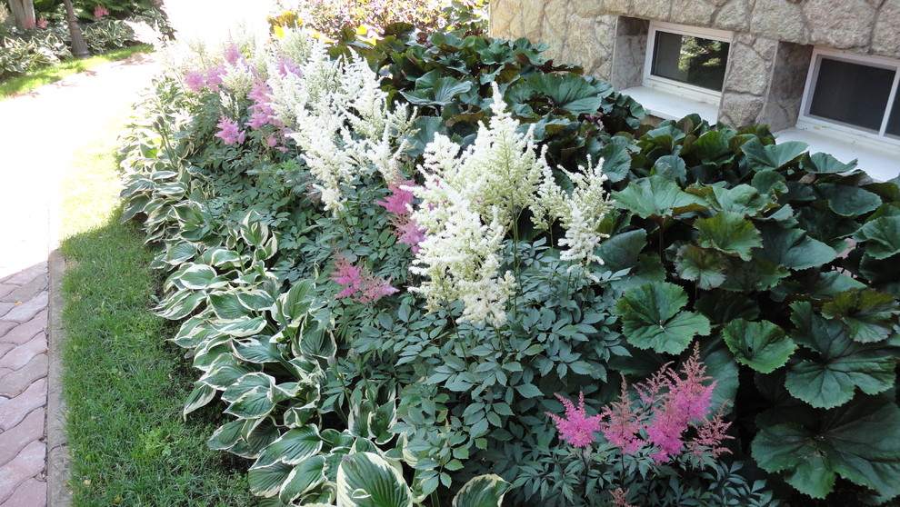 Теневые Сады