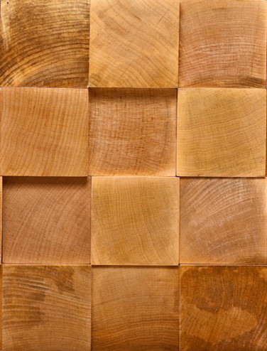 Rustic Projection contemporary