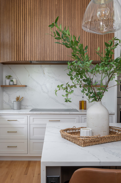 Wybel Project transitional-kitchen