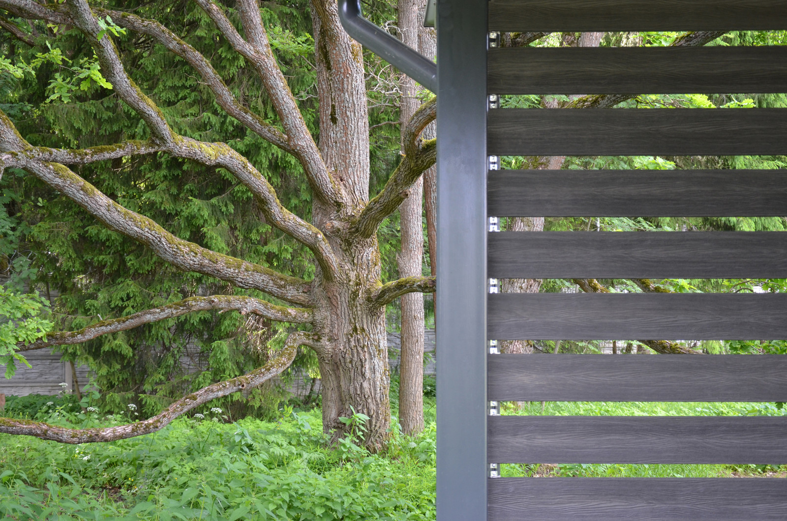 Вспоминая Нормандию КП  Визендорф 2017 г