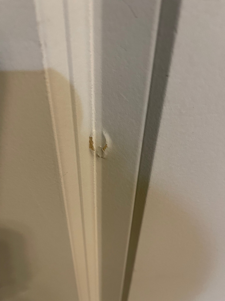 Can this new solid core door be repaired?